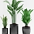 Tropical Trio Potted Plants 3D model small image 2