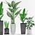 Green Oasis: Aspidistra, Sansevieria, Paradise and Ficus Elastica Plant with Black and Concrete Pot 3D model small image 1