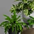 Stylish Plant Decor Set 3D model small image 2