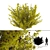 Golden Leaf Bush | Vibrant Shrubbery 3D model small image 1
