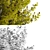 Golden Leaf Bush | Vibrant Shrubbery 3D model small image 2