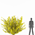 Golden Leaf Bush | Vibrant Shrubbery 3D model small image 3