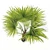 Exotic Rainforest Beauty: Chuniophoenix Hainanensis 3D model small image 3