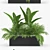 Tropical Palm Plant  Unique 3D Model 3D model small image 2