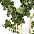 Bountiful Backyard Blackberry Bush 3D model small image 2