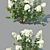 Versatile Hydrangea Paniculata: 4 Variations 3D model small image 2