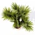 Exquisite Hainan Palm Tree 3D model small image 3