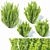 Erecta Berberis Thunbergii: Precision-Crafted Foliage 3D model small image 1