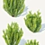 Erecta Berberis Thunbergii: Precision-Crafted Foliage 3D model small image 2