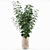 Elegant Plant Display: 12-Inch Deco Planter 3D model small image 1