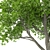 Glowing Tree 10: 3D Model 3D model small image 3