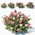 Ruby Red Hydrangea #2 - 4 Sizes 3D model small image 1