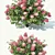 Ruby Red Hydrangea #2 - 4 Sizes 3D model small image 2