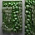 Modular Green Wall: Monstera Vertical Garden 3D model small image 1