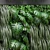 Modular Green Wall: Monstera Vertical Garden 3D model small image 2