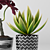 3D Plants Tree Pack 46 3D model small image 1