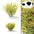 Rowberry Rowan Bush | Sorbaria Sorbifolia: Lifelike Plant Replica 3D model small image 1