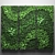 Green Wall Vertical Garden Module 3D model small image 1