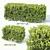 Seamless Buxus Hedge - 50cm Height 3D model small image 1