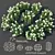 Versatile Hydrangea Arborescens: Customizable Floral Bush 3D model small image 1