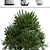 Exquisite Collection: Rhapis excelsa Palms 3D model small image 2