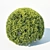 Title: Sculpted Buxus Sempervirens Sphere 3D model small image 2