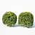 Title: Sculpted Buxus Sempervirens Sphere 3D model small image 3