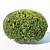 Deluxe Buxus Sempervirens #10: Beautifully Crafted Oval Plant 3D model small image 3