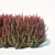 Compact Customizable Berberis Hedge 3D model small image 3