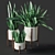 Sansevieria Plant Replica 3D model small image 1