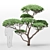 Mountain Pine Decorative 3D model small image 1