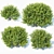 Versatile 11th Gen Buxus 3D model small image 1