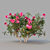 Mediterranean Oleander: Realistic Plant Model 3D model small image 1