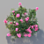 Mediterranean Oleander: Realistic Plant Model 3D model small image 2