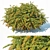 Green Carpet Berberis Thunbergii: Optimal Sizes & Stunning Precision 3D model small image 1