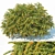 Green Carpet XL Berberis Thunbergii 3D model small image 1