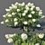 XL Limelight Hydrangea - Height: 150cm, Width: 260cm 3D model small image 1