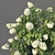 XL Limelight Hydrangea - Height: 150cm, Width: 260cm 3D model small image 3