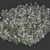Fragrant Evergreen Choisya Hedge 3D model small image 2