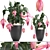 Exotic Medinilla: Collection of Magnificent Pink Flowers 3D model small image 1