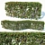 Customizable Transparent Hedge - Cotoneaster Lucidus 3D model small image 1