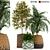 126-Piece Plants Collection: Poly 1553026, Verts 1075107 3D model small image 1