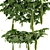 Egyptian Luffa Creeper: High-Quality Rendition 3D model small image 1