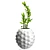 Natural Scale Plant Pot 3D model small image 1