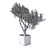 Exquisite Potted Greenery 3D model small image 2