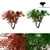 Japanese Maple Season 2: Exquisite Acer Palmatum Tree 3D model small image 1