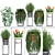 Exotic Plant Collection: Rhipsalis, Tradescantia, Monstera & Bromelia 3D model small image 1