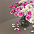 Carnation Flower 3D Model 3D model small image 3