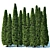 Thuya Occidentalis Hedge: Privacy Perfected 3D model small image 1