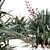 New Zealand Flax - Vibrant Variety 3D model small image 2